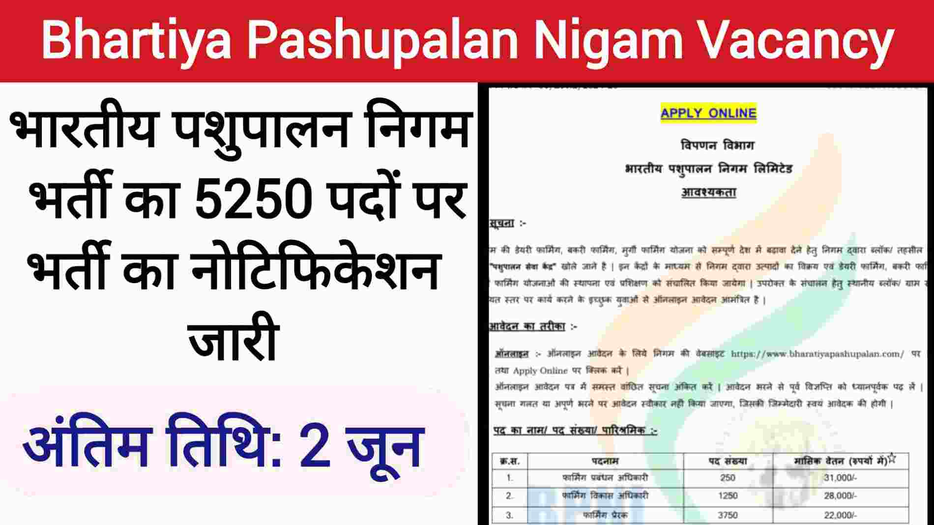 Bhartiya Pashupalan Nigam Vacancy